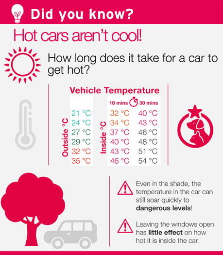 Hot cars aren't cool! How long does it take for your car to get hot?