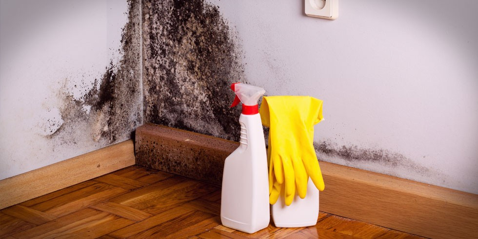 How To Prevent And Treat Damp And Mould